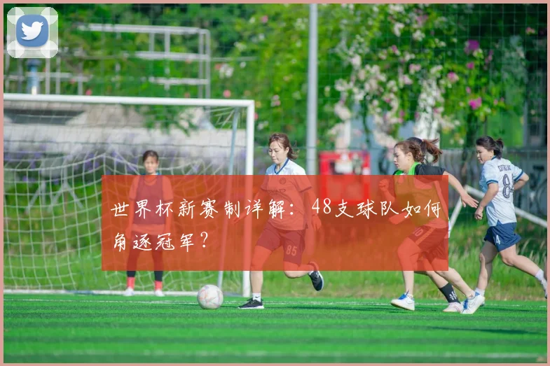 世界杯新赛制详解:48支球队如何角逐冠军?