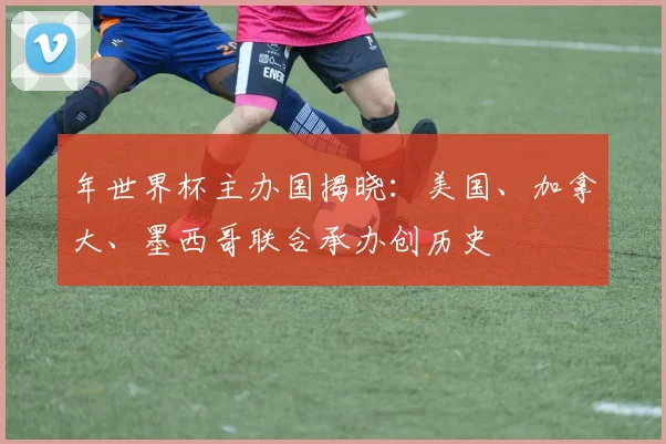 年世界杯主办国揭晓：美国、加拿大、墨西哥联合承办创历史